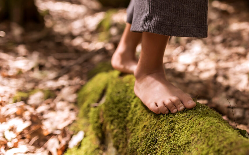 Bare feet standing on soft green moss and fallen leaves in Cook Forest State Park, Pennsylvania, evoking a sense of connection to nature and peaceful outdoor experiences near Gateway Lodge.