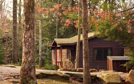 black bear cabin surrounded by hemlock and pine trees during the fall