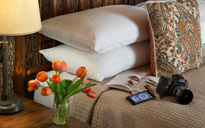 Close-up of a smartphone displaying a compass app, resting on a bird watching guide book, next to black binoculars on a bed, suggesting outdoor exploration and nature activities at Gateway Lodge in Cook Forest, Pennsylvania.