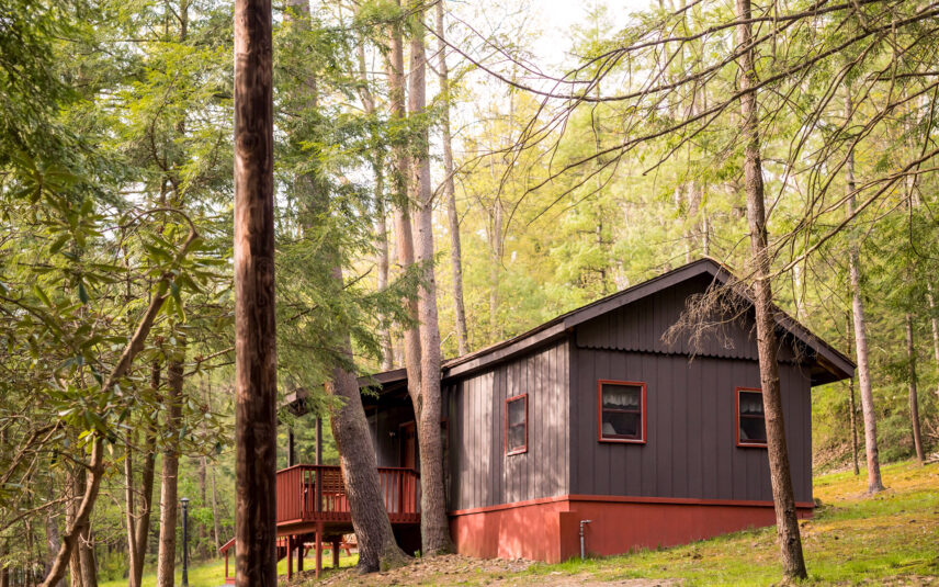 Exterior view of the Red Eft Cabin at Gateway Lodge in Cook Forest, Pennsylvania, nestled among tall trees with a red porch and trim.