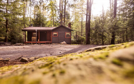 cabin nestled in forest with firewood rack full of wood