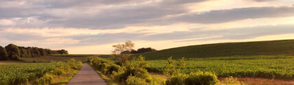 sunset over a bike path and green fields part of route 66 bike trail