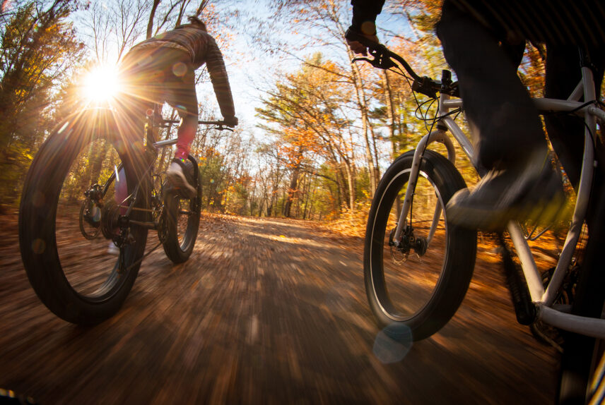 people riding fat bikes on a trail during autumn sunrise, illuminating golden leaves on trees