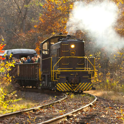 Fall Train Ride