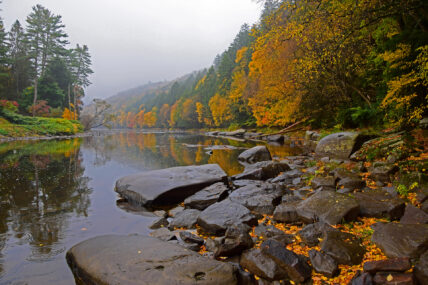 river bend of the Clarion River in autumn, with large rocks in the foreground and golden leaves reflected in the water