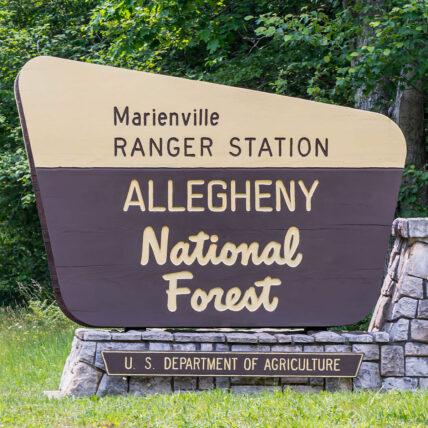 Allegheny National Forest Entrance