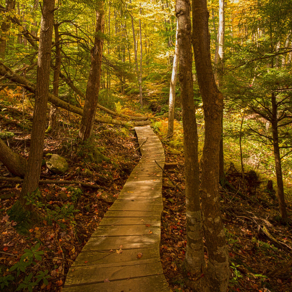 Jakes Rocks Allegheny National Forest’s Centennial | Gateway Lodge